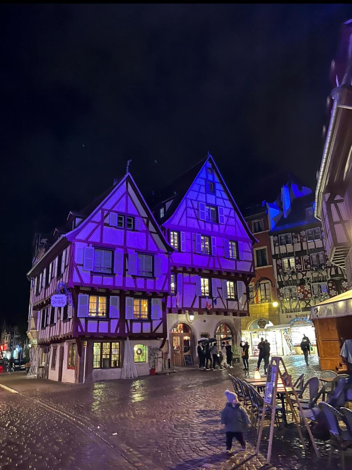 Le Venise, Parking Prive, Neuf & Spacieux Colmar Exterior photo